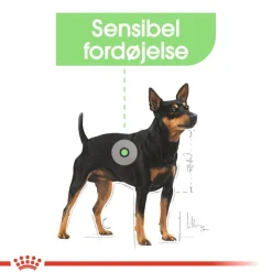 Royal Canin Digestive Care Mousse