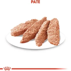 Royal Canin Digestive Care Mousse