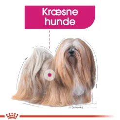 Royal Canin Exigent Mousse