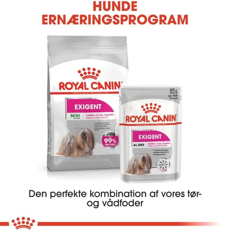 Royal Canin Exigent Mousse