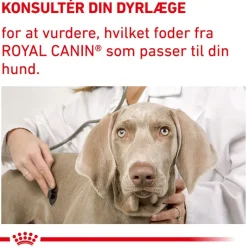 Royal Canin Expert Canine Adult Large Dog