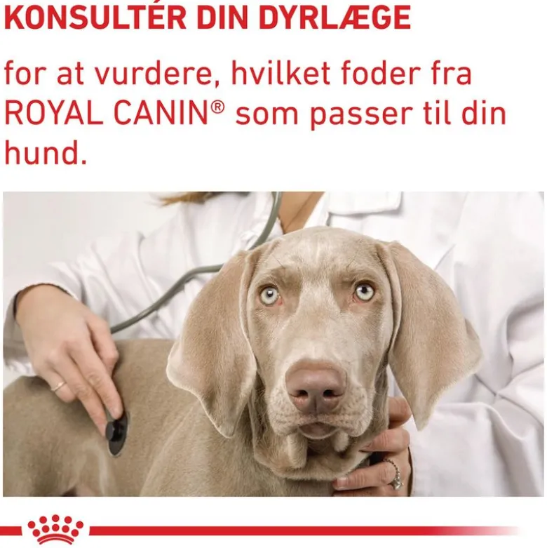 Royal Canin Expert Canine Adult Small Dog
