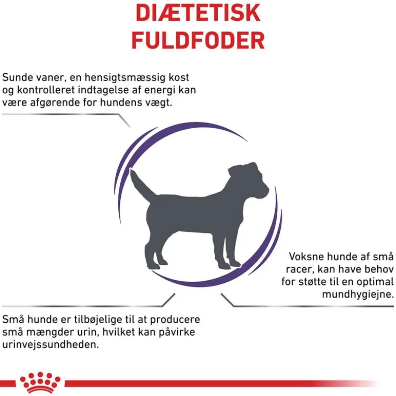 Royal Canin Expert Canine Adult Small Dog