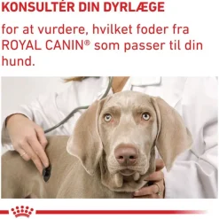 Royal Canin Expert Canine Mature Consult Small Dog