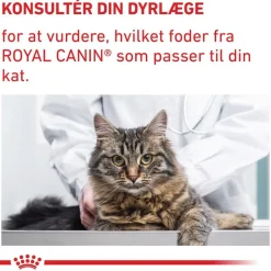 Royal Canin Expert Feline Adult