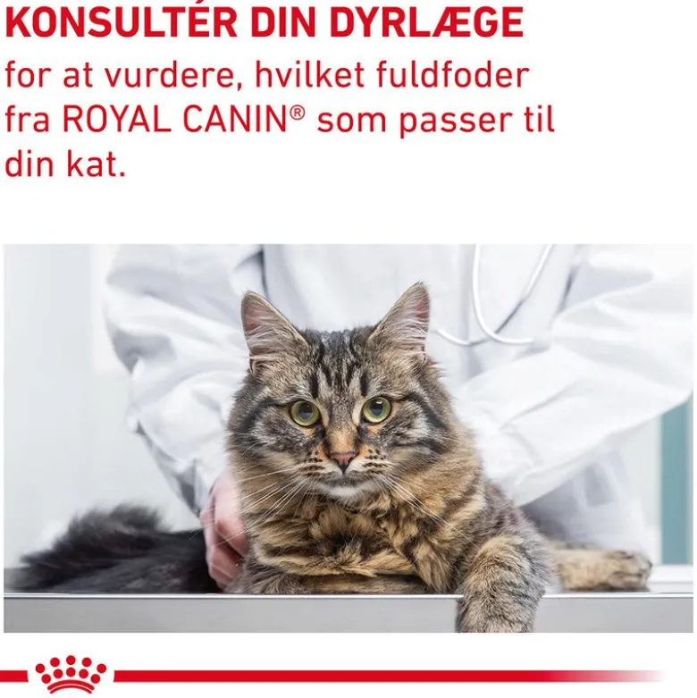 Royal Canin Expert Feline Gastrointestinal Fibre Response