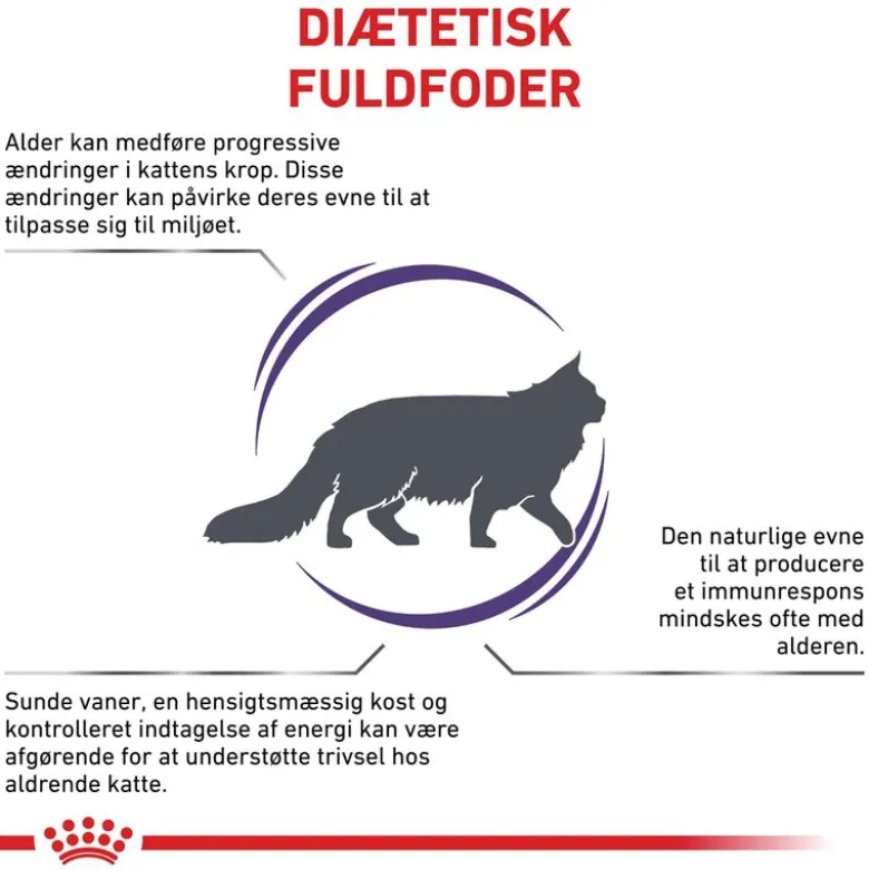 Royal Canin Expert Feline Mature Consult