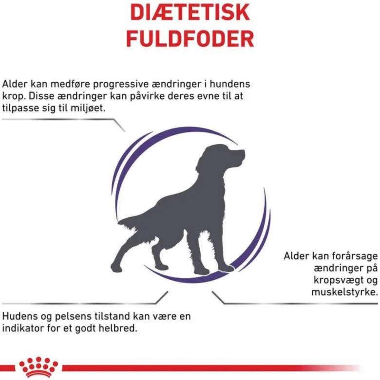 Royal Canin Expert Mature Consult Medium Dog