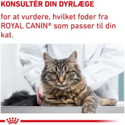 Royal Canin Expert Mature Consult Balance Mousse
