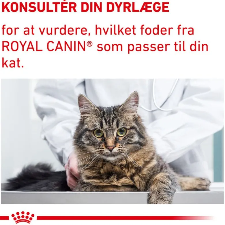 Royal Canin Expert Mature Consult Balance Mousse