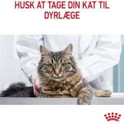 Royal Canin FCN Hairball Care i gelé