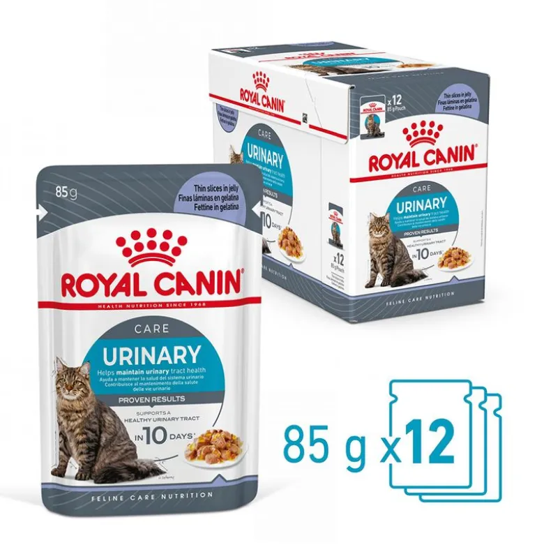 Royal Canin FCN Urinary Care i gelé