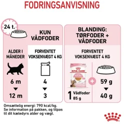 Royal Canin FHN Kitten Sterilised i gelé