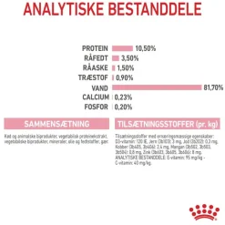 Royal Canin FHN Kitten Sterilised i gelé