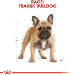 Royal Canin French Bulldog Adult