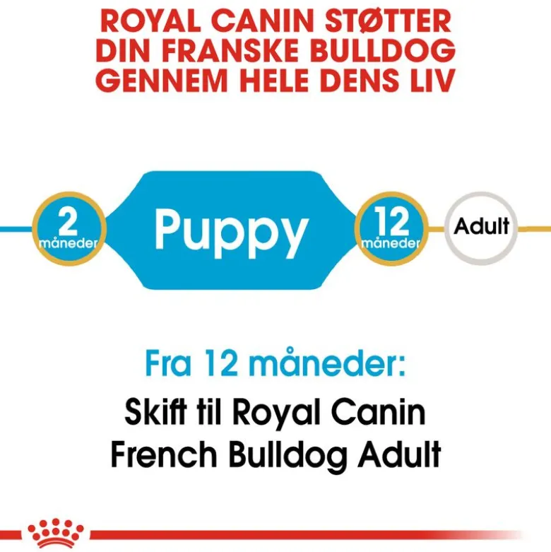 Royal Canin French Bulldog Puppy