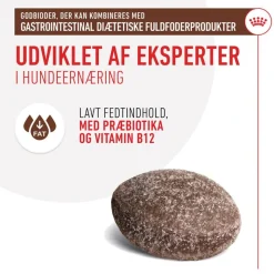 Royal Canin Gastrointestinal Snacks