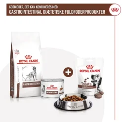 Royal Canin Gastrointestinal Snacks