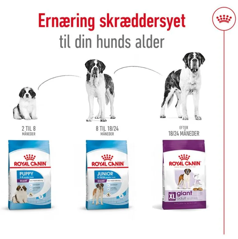 Royal Canin Giant Adult