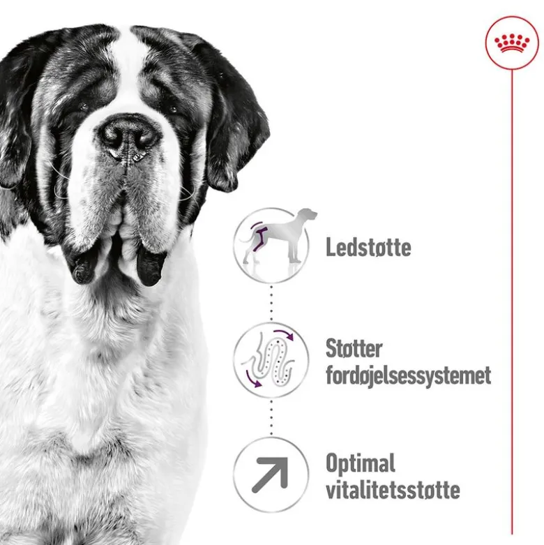 Royal Canin Giant Adult