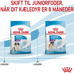 Royal Canin Giant Puppy