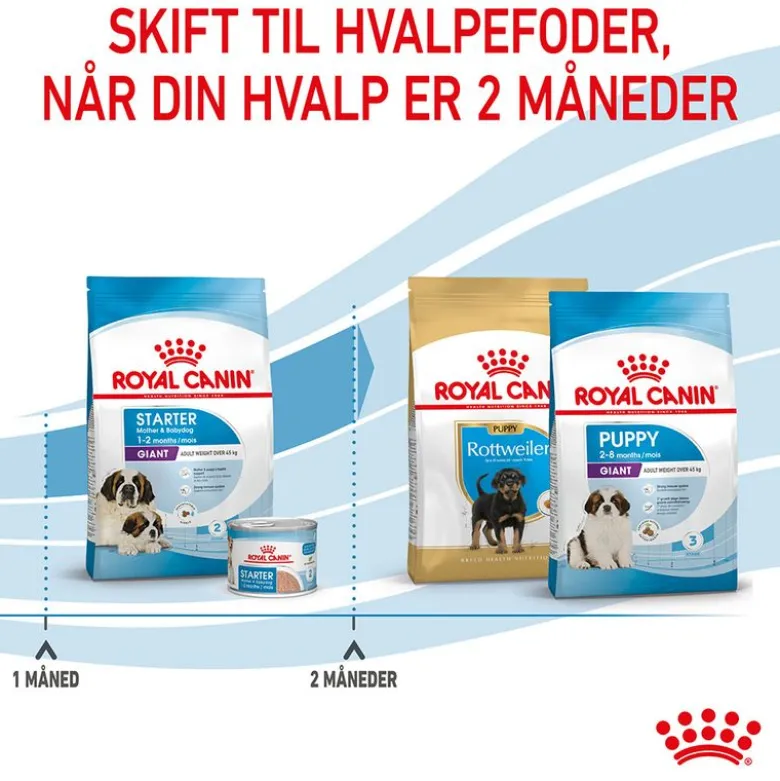 Royal Canin Giant Starter Mother & Babydog