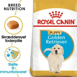 Royal Canin Golden Retriever Puppy