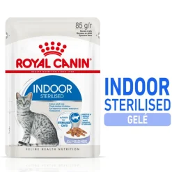 Royal Canin Indoor Sterilised i gelé