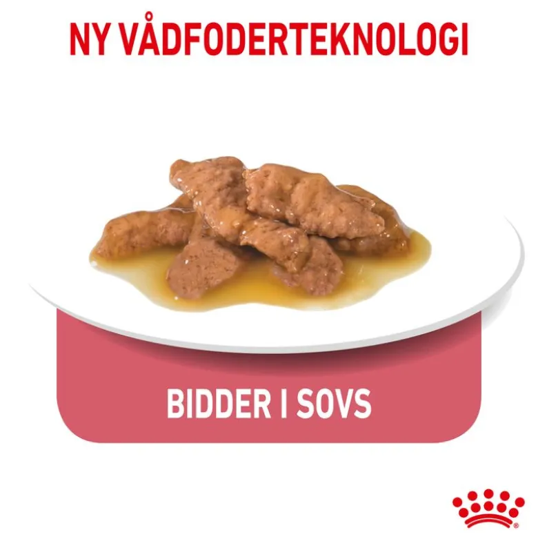 Royal Canin Indoor Sterilised 7+ i sauce