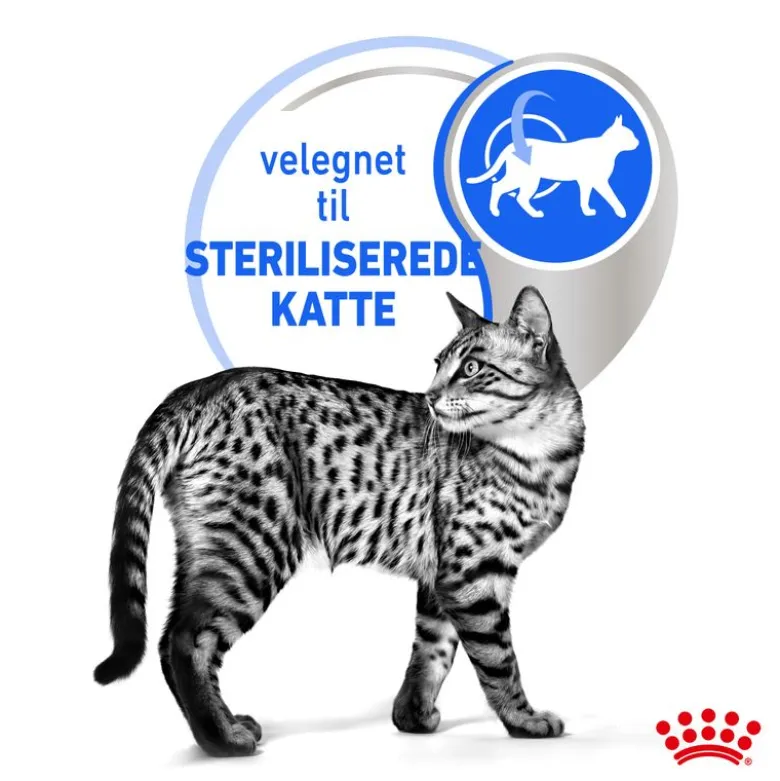 Royal Canin Indoor Sterilised 7+ i sauce