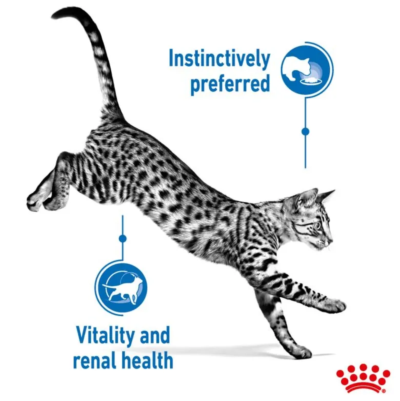 Royal Canin Indoor Sterilised 7+ i sauce