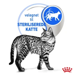 Royal Canin Indoor Sterilised i sauce