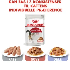 Royal Canin Instinctive i sauce