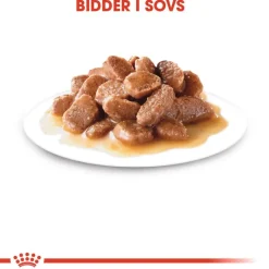 Royal Canin Instinctive i sauce