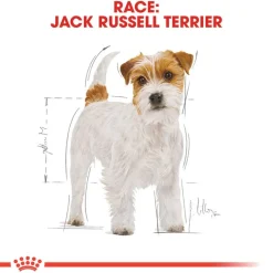 Royal Canin Jack Russell Terrier Adult