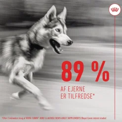 Royal Canin Joint & Ageing Adult Supplement tyggesnacks
