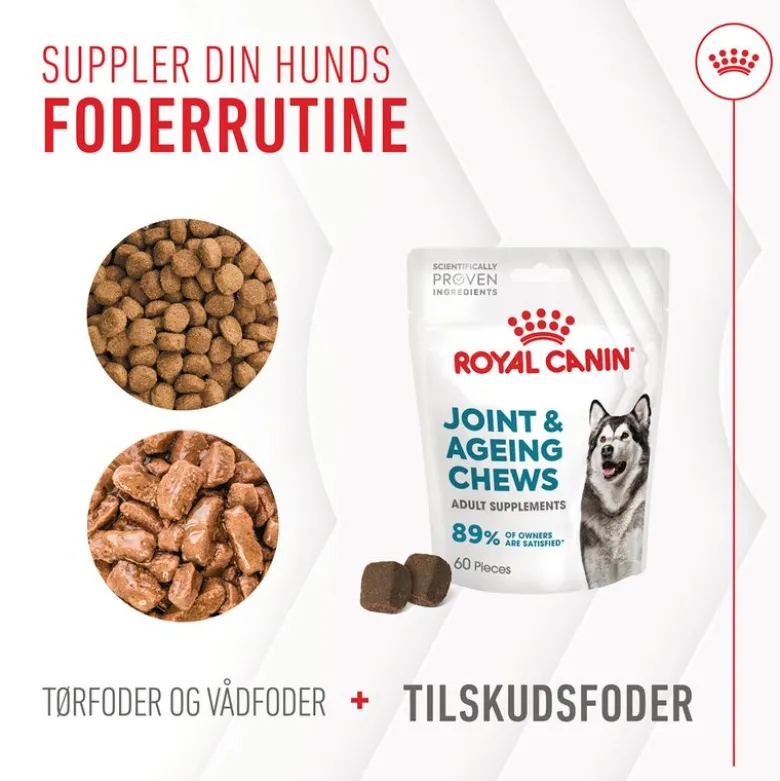 Royal Canin Joint & Ageing Adult Supplement tyggesnacks