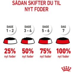 Royal Canin Kitten i gelé