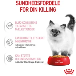 Royal Canin Kitten i gelé