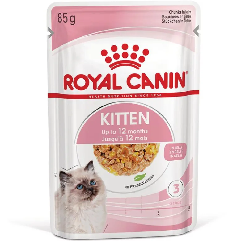 Royal Canin Kitten i gelé