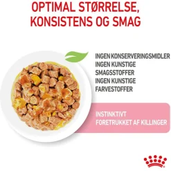 Royal Canin Kitten i gelé
