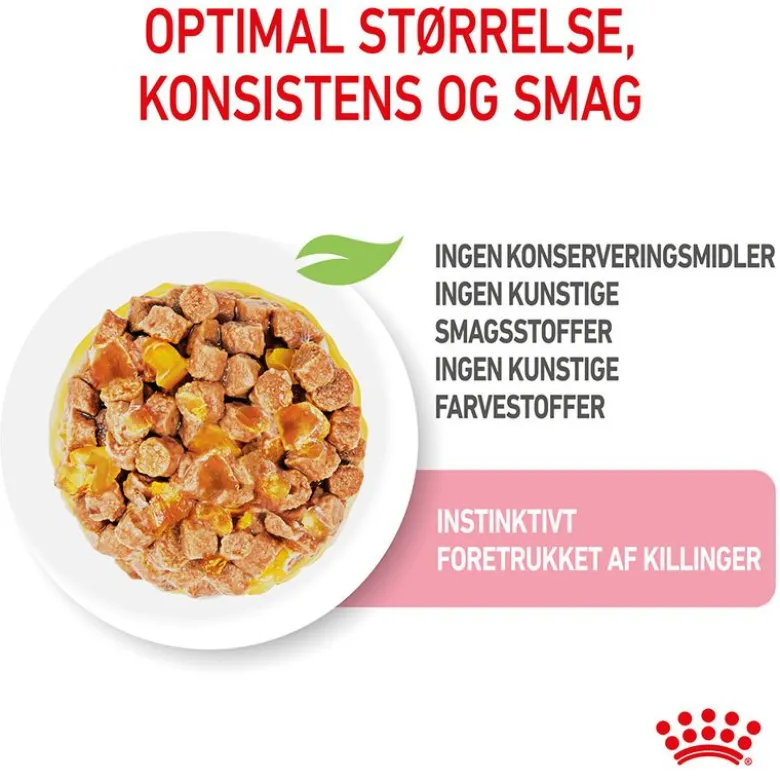 Royal Canin Kitten i gelé