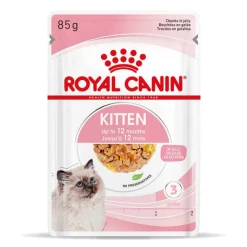 Royal Canin Kitten i gelé