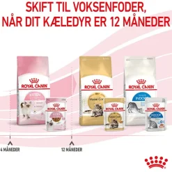 Royal Canin Kitten i sauce