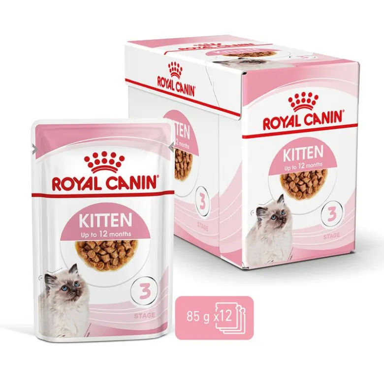 Royal Canin Kitten i sauce