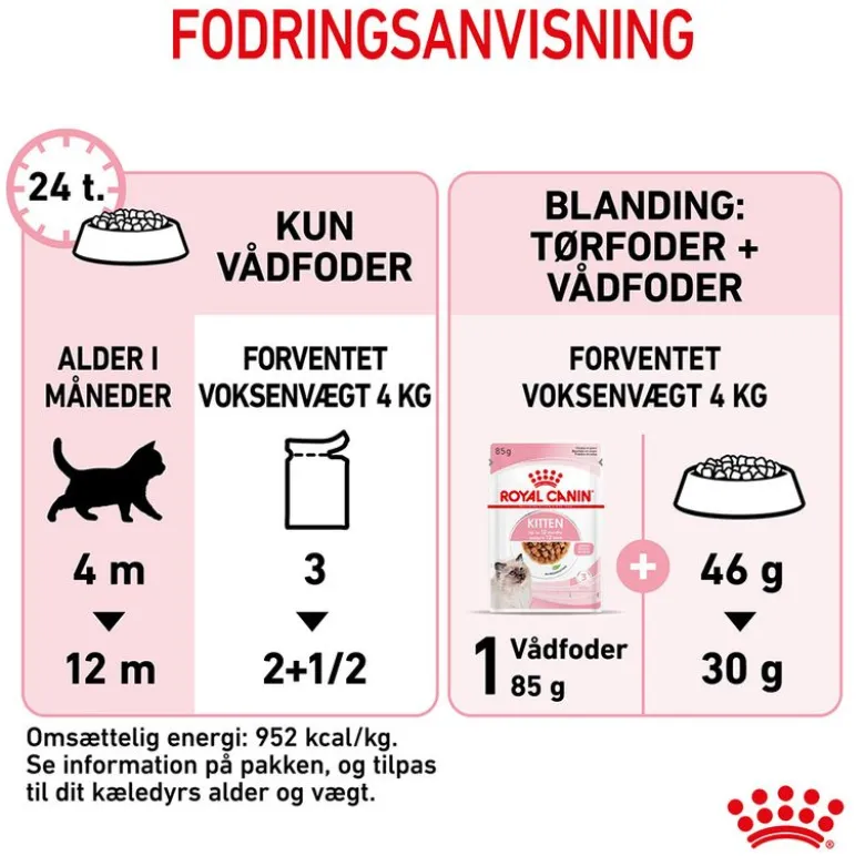 Royal Canin Kitten i sauce