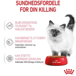 Royal Canin Kitten i sauce