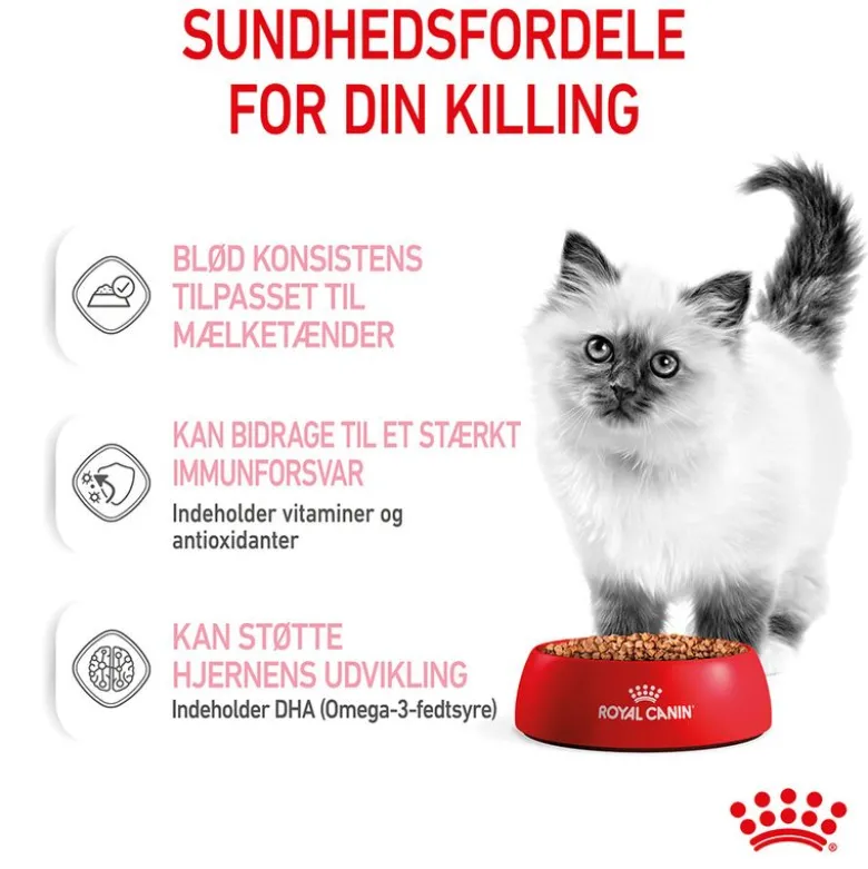 Royal Canin Kitten i sauce