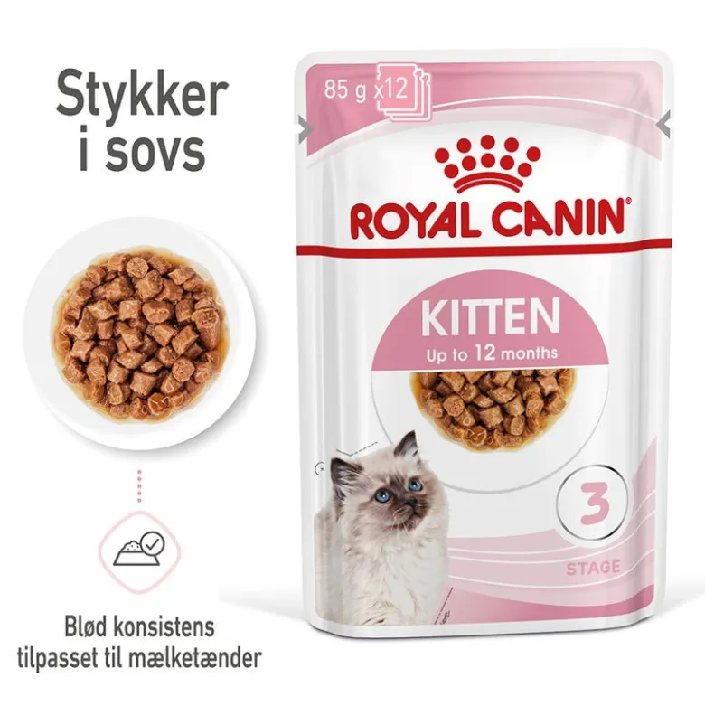 Royal Canin Kitten i sauce