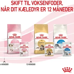 Royal Canin Kitten Mousse